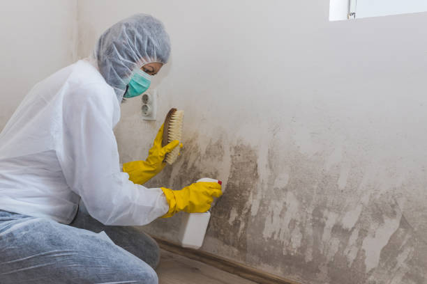 Best Mold Testing  in Whitehorn Cove, OK
