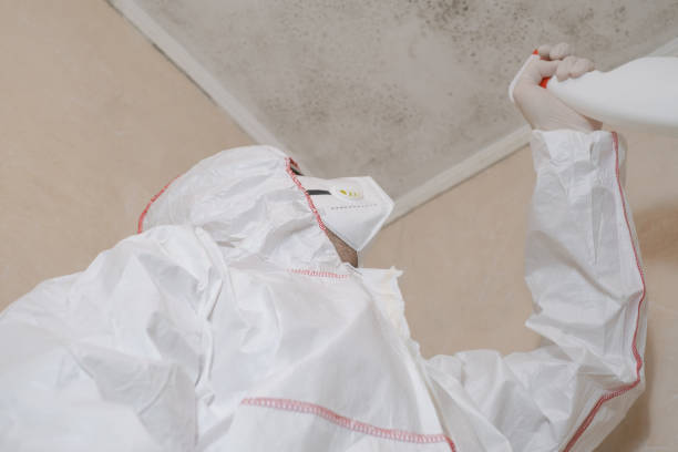 Best Attic Mold Removal  in Whitehorn Cove, OK